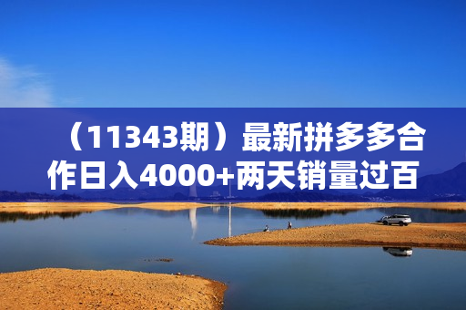 （11343期）最新拼多多合作日入4000+两天销量过百单，无学费、老运营代操作、小白福利