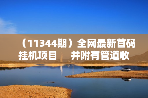 （11344期）全网最新首码挂机项目     并附有管道收益 轻松日入1000+无上限