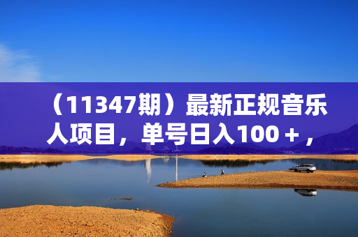 （11347期）最新正规音乐人项目，单号日入100＋，可多开批量操作，轻松实现睡后收入