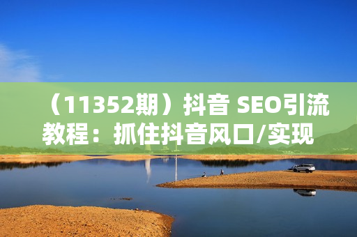 （11352期）抖音 SEO引流教程：抓住抖音风口/实现搜索排名/获取精准流量/快速成交变现