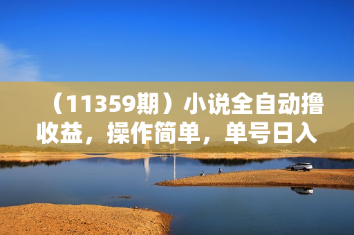 （11359期）小说全自动撸收益，操作简单，单号日入100+可批量放大