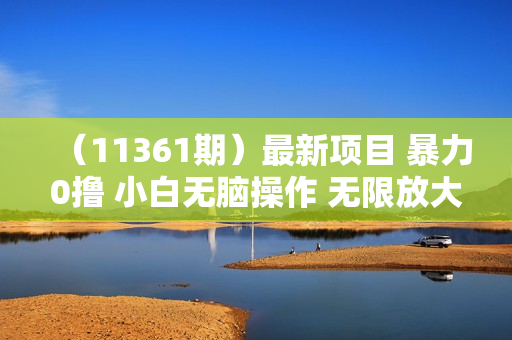 （11361期）最新项目 暴力0撸 小白无脑操作 无限放大 支持矩阵 单机日入280+