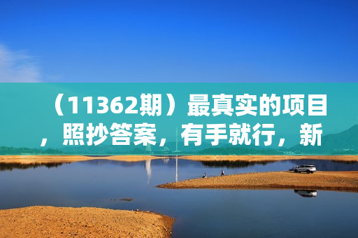 （11362期）最真实的项目，照抄答案，有手就行，新手小白月入过万轻轻松松