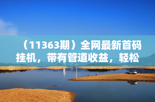 （11363期）全网最新首码挂机，带有管道收益，轻松日入1000+无上限