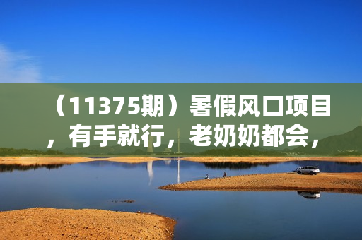 （11375期）暑假风口项目，有手就行，老奶奶都会，轻松日入1000+