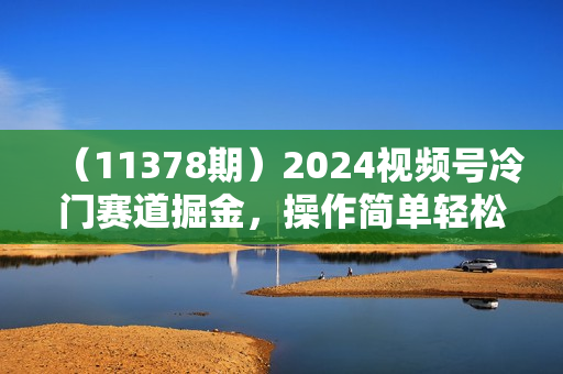 （11378期）2024视频号冷门赛道掘金，操作简单轻松上手，小白也能月入1000+
