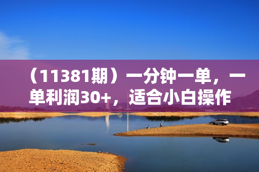 （11381期）一分钟一单，一单利润30+，适合小白操作