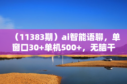 （11383期）ai智能语聊，单窗口30+单机500+，无脑干！！！