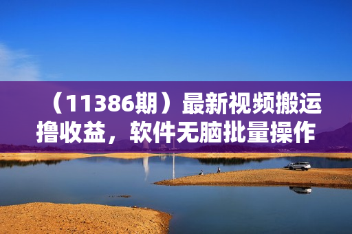 （11386期）最新视频搬运撸收益，软件无脑批量操作，新手小白轻松上手