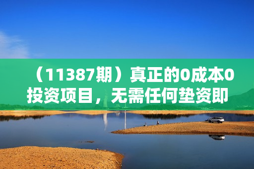 （11387期）真正的0成本0投资项目，无需任何垫资即可日入2000+，当下最火风口项目教学