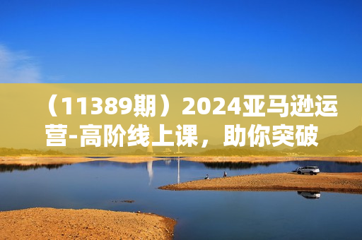 （11389期）2024亚马逊运营-高阶线上课，助你突破销量瓶颈（228节课）