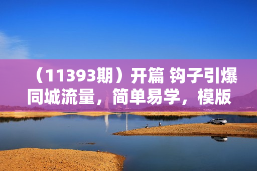 （11393期）开篇 钩子引爆同城流量，简单易学，模版操作，快速提升视频播放量-18节课