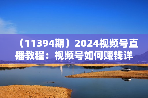 （11394期）2024视频号直播教程：视频号如何赚钱详细教学，一场直播30w营业额（37节）