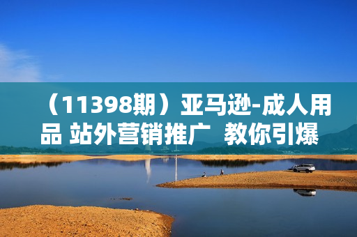 （11398期）亚马逊-成人用品 站外营销推广  教你引爆站外流量，开启爆单模式