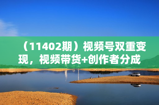 （11402期）视频号双重变现，视频带货+创作者分成计划 , 单日收益1000+，可矩阵
