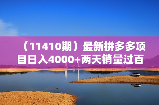 （11410期）最新拼多多项目日入4000+两天销量过百单，无学费、老运营代操作、小白福利