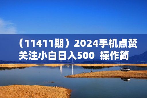 （11411期）2024手机点赞关注小白日入500  操作简单提现快