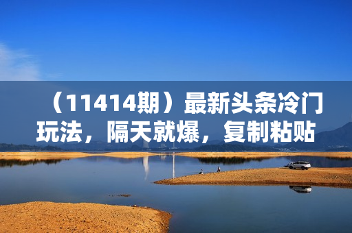 （11414期）最新头条冷门玩法，隔天就爆，复制粘贴日入500+