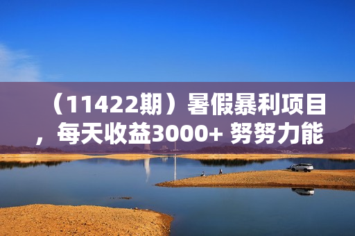 （11422期）暑假暴利项目，每天收益3000+ 努努力能达到5000+，暑假大流量来了