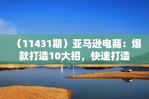 （11431期）亚马逊电商：爆款打造10大招，快速打造best seller 不是事儿