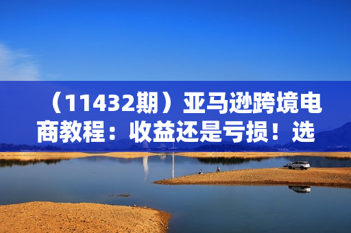 （11432期）亚马逊跨境电商教程：收益还是亏损！选品就是选投资项目