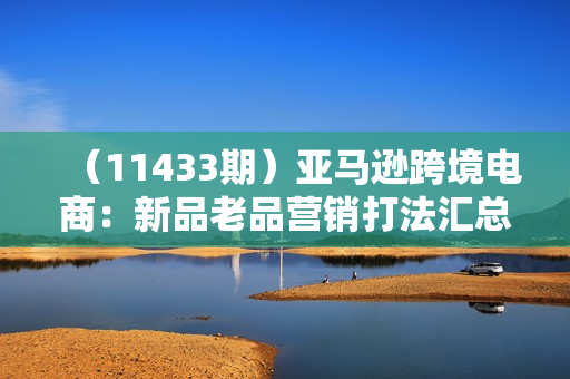 （11433期）亚马逊跨境电商：新品老品营销打法汇总，爆款打造，日销千单
