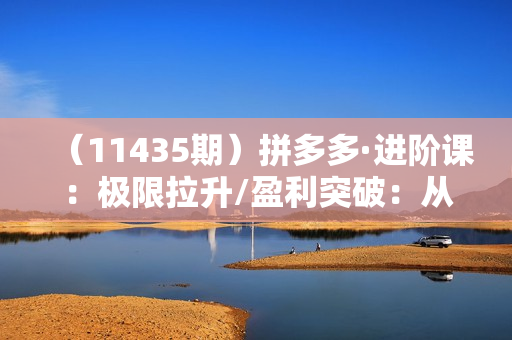 （11435期）拼多多·进阶课：极限拉升/盈利突破：从算法到玩法 从玩法到团队搭建-18节