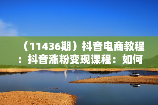 （11436期）抖音电商教程：抖音涨粉变现课程：如何做一个赚钱的抖音号（18节）