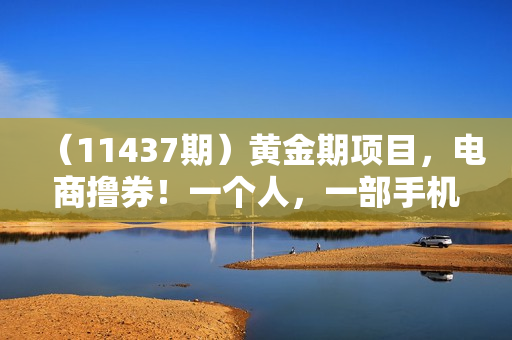 （11437期）黄金期项目，电商撸券！一个人，一部手机，在家可做，每天收入500+