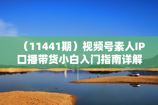 （11441期）视频号素人IP口播带货小白入门指南详解，从0到1一步步带你操作!