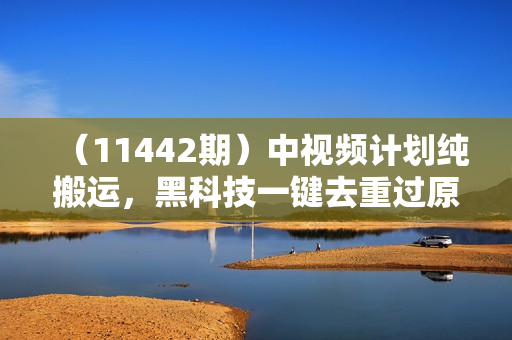 （11442期）中视频计划纯搬运，黑科技一键去重过原创，新手小白福音，轻松日入大几百