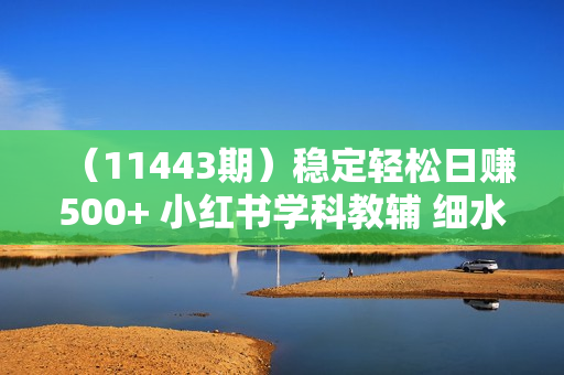 （11443期）稳定轻松日赚500+ 小红书学科教辅 细水长流的闷声发财项目