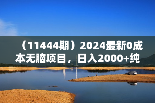 （11444期）2024最新0成本无脑项目，日入2000+纯利润