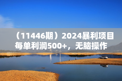 （11446期）2024暴利项目每单利润500+，无脑操作，十几分钟可操作一单，每天可批量