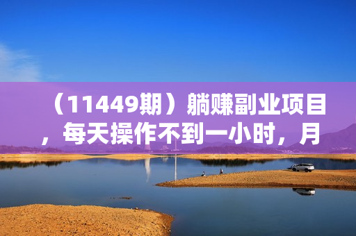 （11449期）躺赚副业项目，每天操作不到一小时，月利润1万起，实战篇