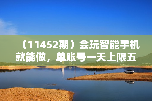 （11452期）会玩智能手机就能做，单账号一天上限五十 任务无上限，做就有