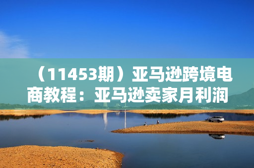 （11453期）亚马逊跨境电商教程：亚马逊卖家月利润百万的广告打法秘诀