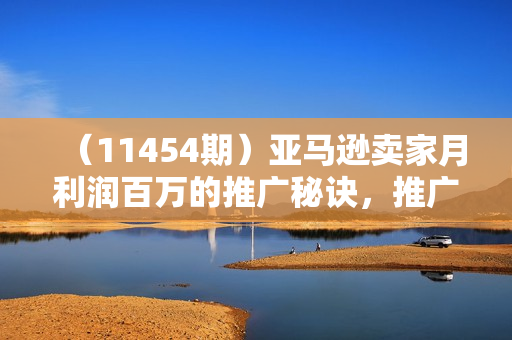 （11454期）亚马逊卖家月利润百万的推广秘诀，推广/计划/测款/费用/打法/节点/秒杀