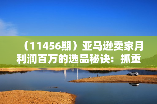 （11456期）亚马逊卖家月利润百万的选品秘诀:  抓重点/高利润/大方向/大类目/选品