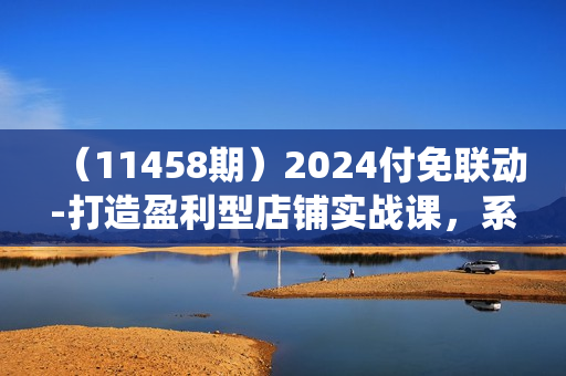 （11458期）2024付免联动-打造盈利型店铺实战课，系统化推广 从选品到打造爆款操作