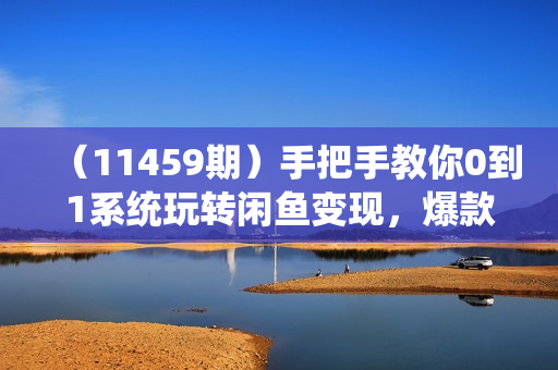 （11459期）手把手教你0到1系统玩转闲鱼变现，爆款思维/超级曝光/超高转化（15节课）