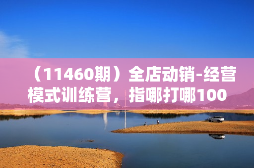 （11460期）全店动销-经营模式训练营，指哪打哪100%精准拉新保姆式起店实战课程