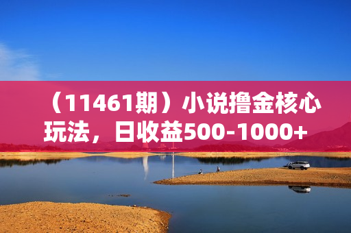 （11461期）小说撸金核心玩法，日收益500-1000+，小白看完照样上手，0成本有手就行
