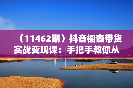 （11462期）抖音橱窗带货实战变现课：手把手教你从0到1系统玩转抖音橱窗-11节