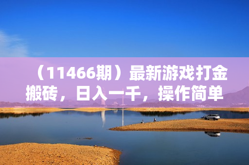 （11466期）最新游戏打金搬砖，日入一千，操作简单好上手