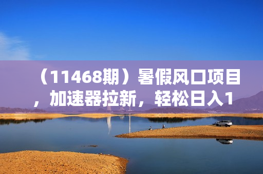 （11468期）暑假风口项目，加速器拉新，轻松日入1000＋，有手就行，老奶奶都会