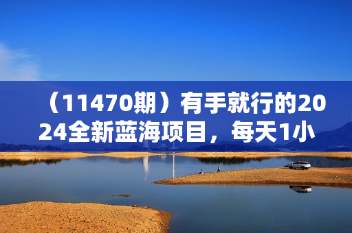 （11470期）有手就行的2024全新蓝海项目，每天1小时收益几十到几百，可放大操作收