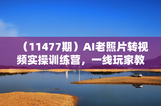 （11477期）AI老照片转视频实操训练营，一线玩家教你AI老照片转视频