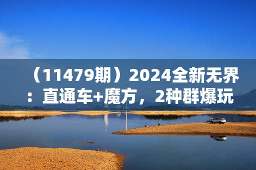 （11479期）2024全新无界：直通车+魔方，2种群爆玩法