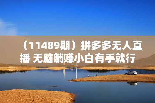 （11489期）拼多多无人直播 无脑躺赚小白有手就行 不违规不封号轻松日入4位数